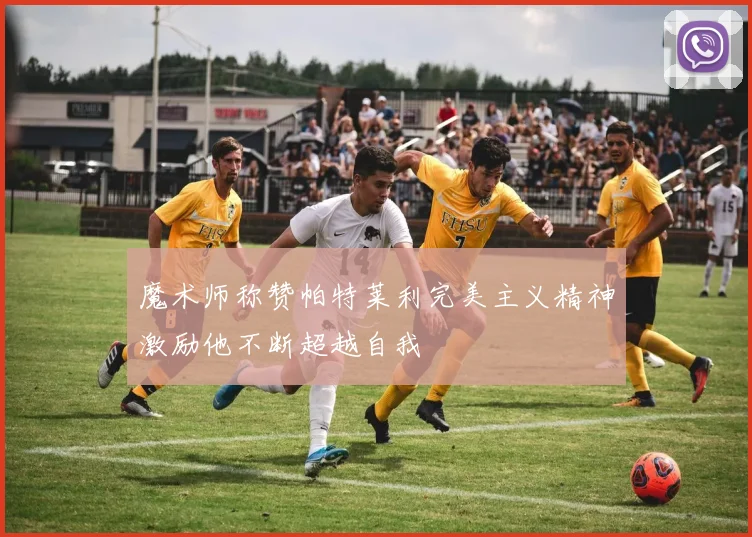 魔术师称赞帕特莱利完美主义精神激励他不断超越自我